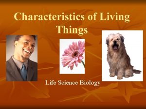 Characteristics of Living Things Life Science Biology n