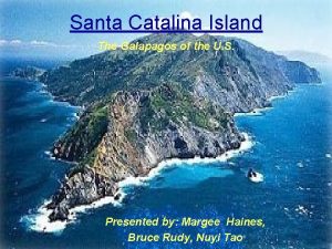 Santa Catalina Island The Galapagos of the U