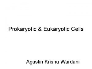 Prokaryotic Eukaryotic Cells Agustin Krisna Wardani The Prokaryotes