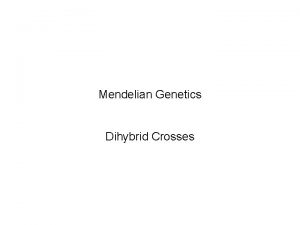 Mendelian Genetics Dihybrid Crosses I Law of Independent