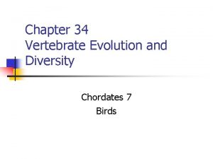 Chapter 34 Vertebrate Evolution and Diversity Chordates 7