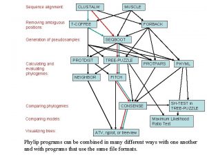 Sequence alignment Removing ambiguous positions CLUSTALW TCOFFEE FORBACK