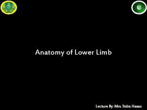 Anatomy of Lower Limb Lecture By Mrs Sidra