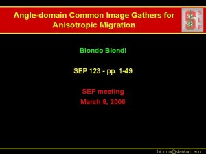 Angledomain Common Image Gathers for Anisotropic Migration Biondo