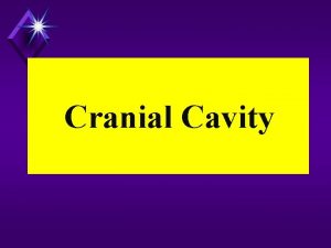 Cranial Cavity Anterior Cranial Fossa Middle Cranial Fossa