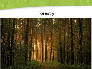 Forestry Lesson 11 1 Resource Management EcosystemBased Forest