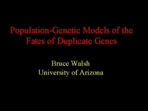 PopulationGenetic Models of the Fates of Duplicate Genes