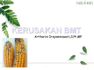 KERUSAKAN BMT Artharini Irsyammawati S Pt MP AIBMT