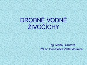 DROBN VODN IVOCHY Ing Marta Lazrov Z sv