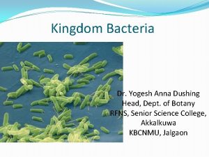 Kingdom Bacteria Dr Yogesh Anna Dushing Head Dept