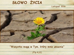 SOWO YCIA Listopad 2016 Wszystko mog w Tym