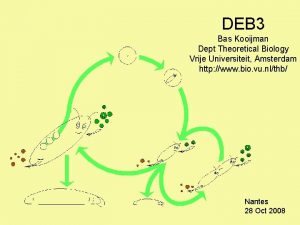 DEB 3 Bas Kooijman Dept Theoretical Biology Vrije