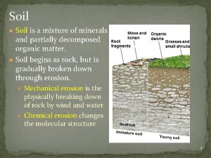 Soil Soil is a mixture of minerals and