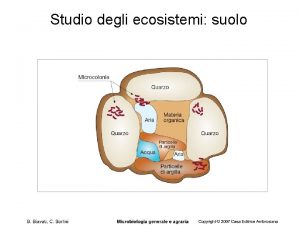 Studio degli ecosistemi suolo Front Plant Sci 2017