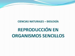 CIENCIAS NATURALES BIOLOGA REPRODUCCIN EN ORGANISMOS SENCILLOS REPRODUCCIN