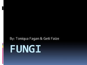 By Toniqua Fagan Geti Faize FUNGI Introduction Fungi