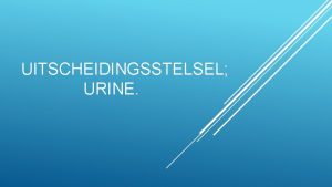 UITSCHEIDINGSSTELSEL URINE Stofwisseling metabolisme een proces wat zich