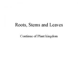 Roots Stems and Leaves Continue of Plant kingdom