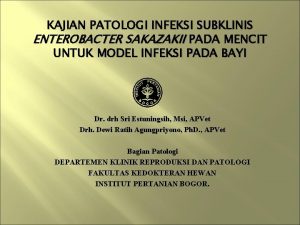 KAJIAN PATOLOGI INFEKSI SUBKLINIS ENTEROBACTER SAKAZAKII PADA MENCIT