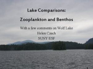 Lake Comparisons Zooplankton and Benthos With a few