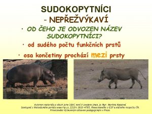 SUDOKOPYTNCI NEPEVKAV OD EHO JE ODVOZEN NZEV SUDOKOPYTNCI