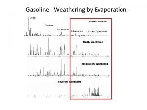 Gasoline Weathering by Evaporation MTBE Fresh Gasoline Toluene