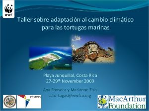 Taller sobre adaptacin al cambio climtico para las