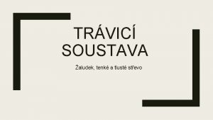 TRVIC SOUSTAVA aludek tenk a tlust stevo Trvic