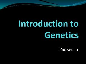 Introduction to Genetics Packet 11 Vocabulary Allele Genetics