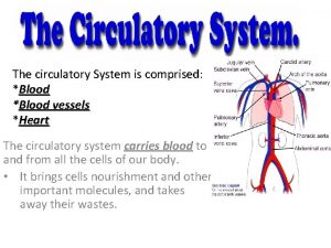 The circulatory System is comprised Blood vessels Heart