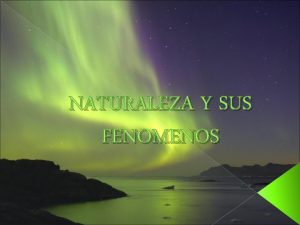 NATURALEZA Y SUS FENOMENOS Naturaleza Reinos Animal Vegetal