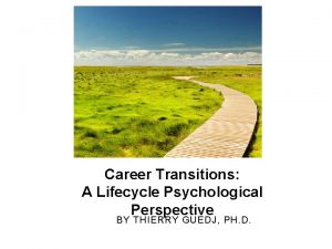 Career Transitions A Lifecycle Psychological Perspective BY THIERRY
