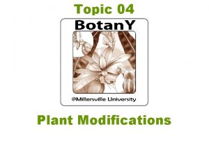 Topic 04 Plant Modifications I Modifications of Shoot