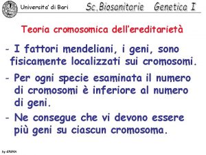 Universita di Bari Teoria cromosomica dellereditariet I fattori