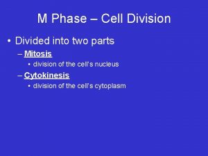 M Phase Cell Division Divided into two parts