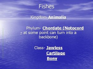 Fishes KingdomAnimalia Phylum Chordate Notocord at some point
