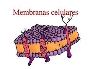 Membranas celulares Funciones de las membranas celulares Paso
