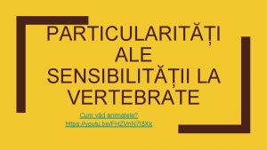 PARTICULARITI ALE SENSIBILITII LA VERTEBRATE Cum vd animalele