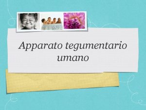 Apparato tegumentario umano Apparato tegumentario E lapparato pi