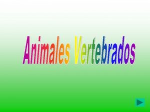 Los animales vertebrados o cordados son los que