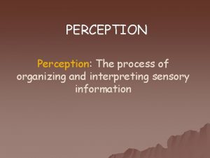 PERCEPTION Perception The process of organizing and interpreting