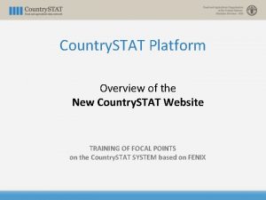 Country STAT Platform Overview of the New Country