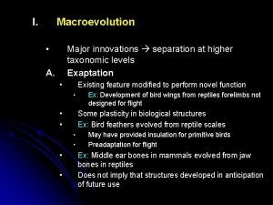 I Macroevolution Major innovations separation at higher taxonomic