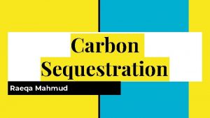 Carbon Sequestration Raeqa Mahmud What is Carbon Sequestration