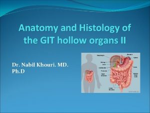 Anatomy and Histology of the GIT hollow organs