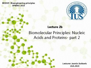 BIO 307 Bioengineering principles SPRING 2019 Lecture 2