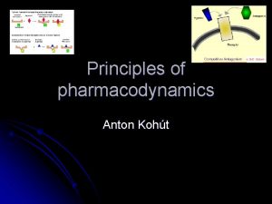 Principles of pharmacodynamics Anton Koht How drugs act