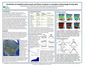 Sensitivity of modeled carbon pools and fluxes to