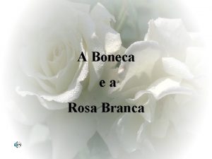 A Boneca ea Rosa Branca Apressada entrei em