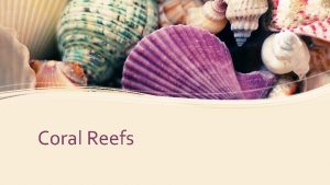 Coral Reefs What are corals Invertebrate marine animal